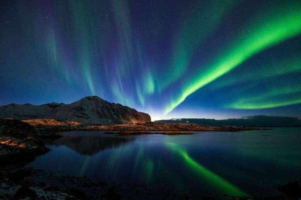 Villa Borgvag - A Unique Seafront Villa In The Heart Of Lofoten Bostad Exterior foto