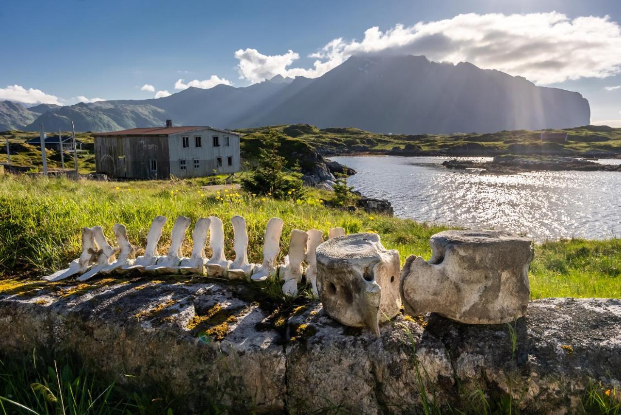 Villa Borgvag - A Unique Seafront Villa In The Heart Of Lofoten Bostad Exterior foto