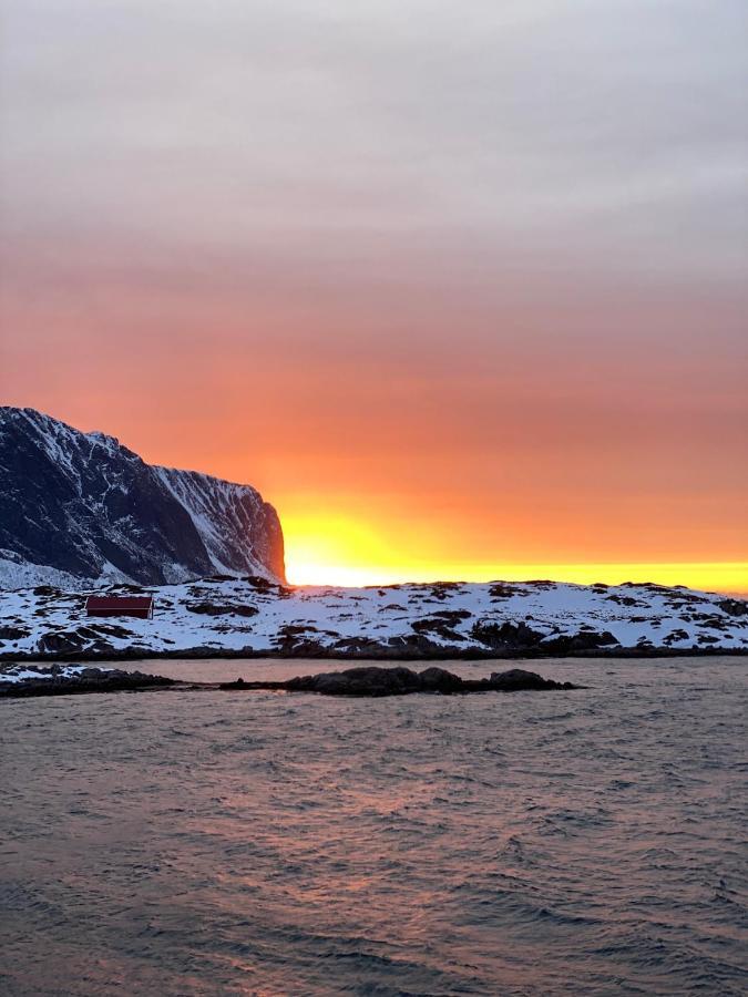 Villa Borgvag - A Unique Seafront Villa In The Heart Of Lofoten Bostad Exterior foto